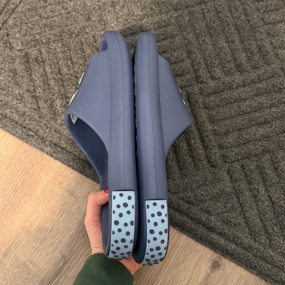 Bluey slides - Picture 4 of 6